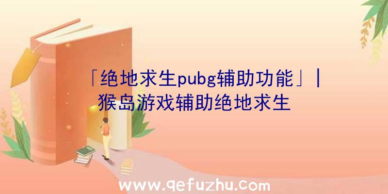 「绝地求生pubg辅助功能」|猴岛游戏辅助绝地求生